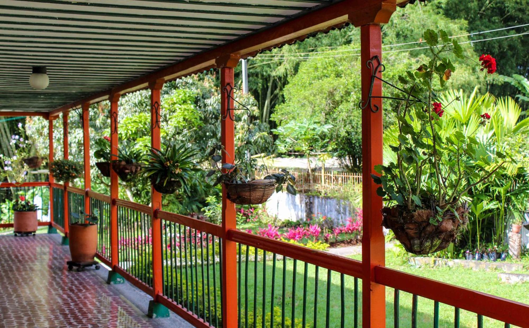 Hotel Campestre La Floresta Armenia  Exteriér fotografie