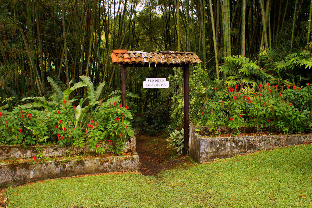 Hotel Campestre La Floresta Armenia  Exteriér fotografie
